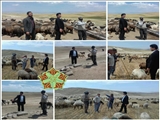 بازدید شهردار بخشایش از از محل دامداران شهر